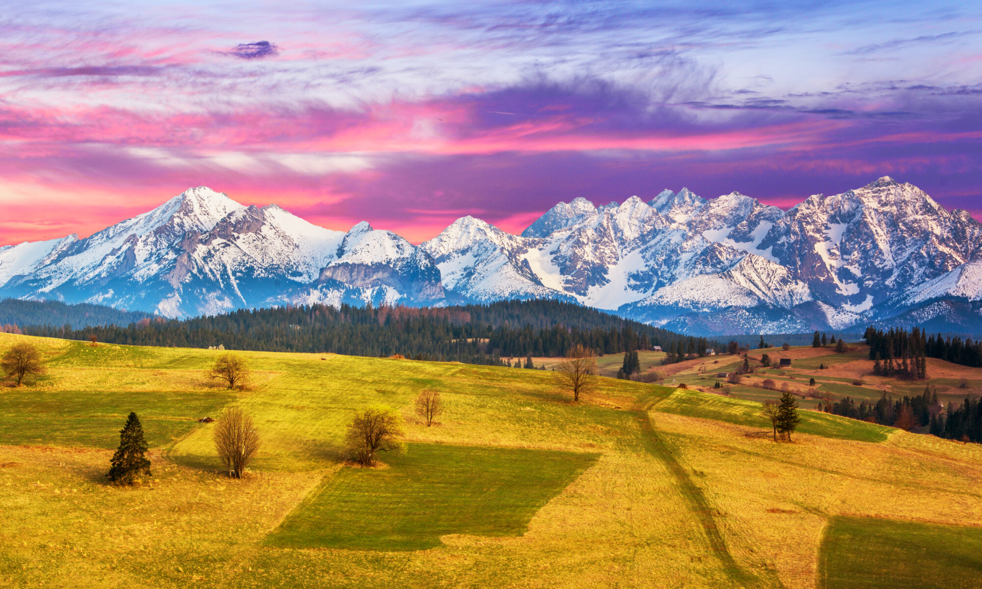 New York English-Polish Translation