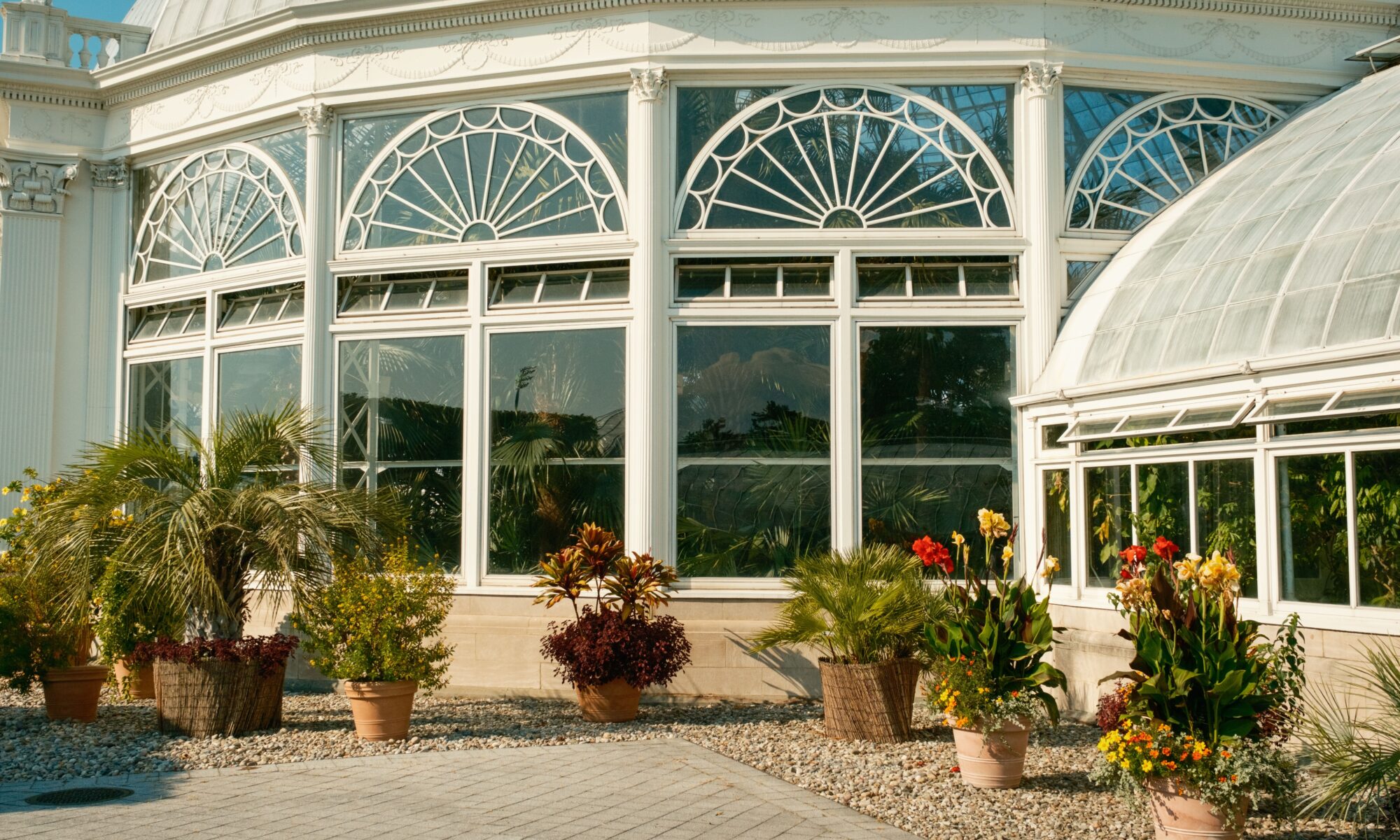 New York English-French Translator