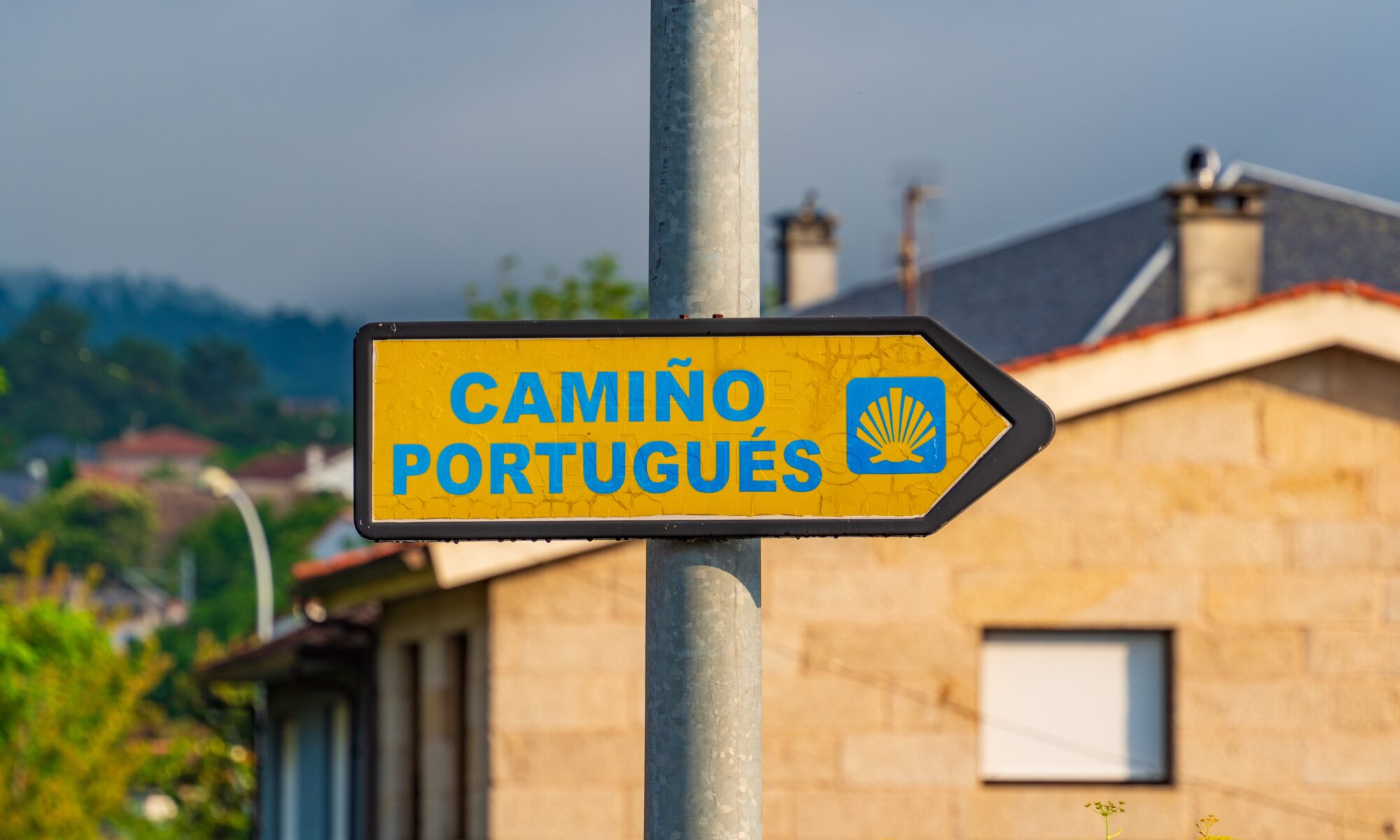 New York Portuguese Translation Services
