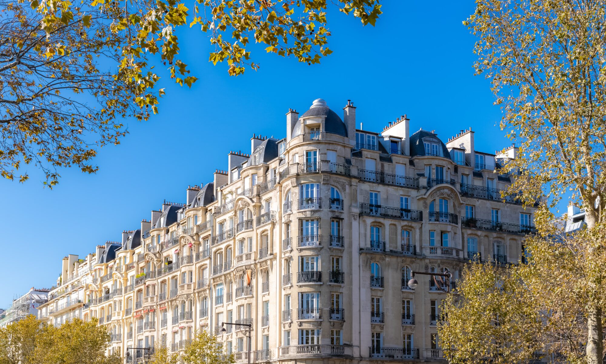 New York French Translation Services