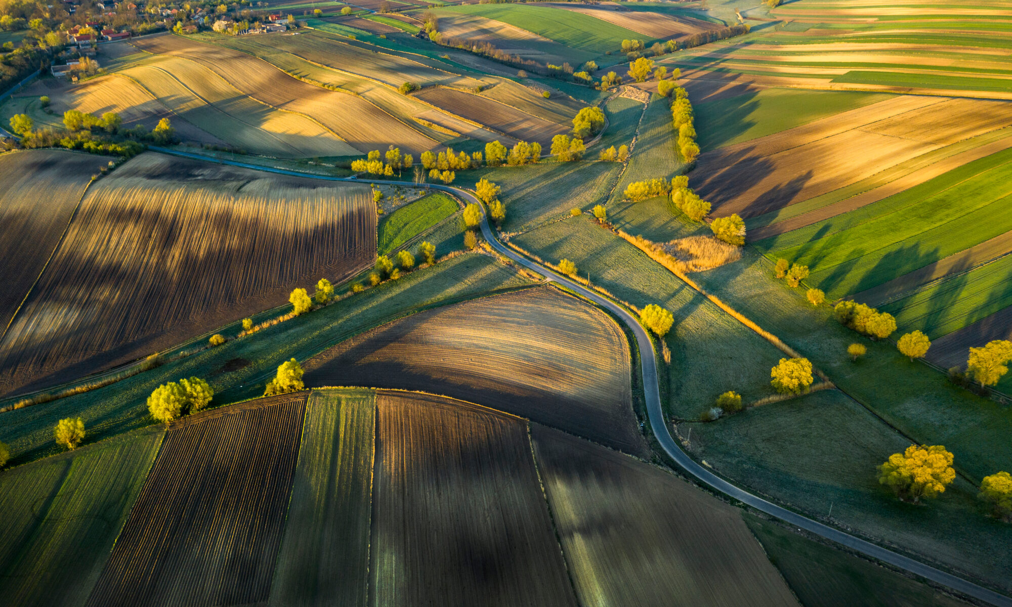 New York Polish Translation Services