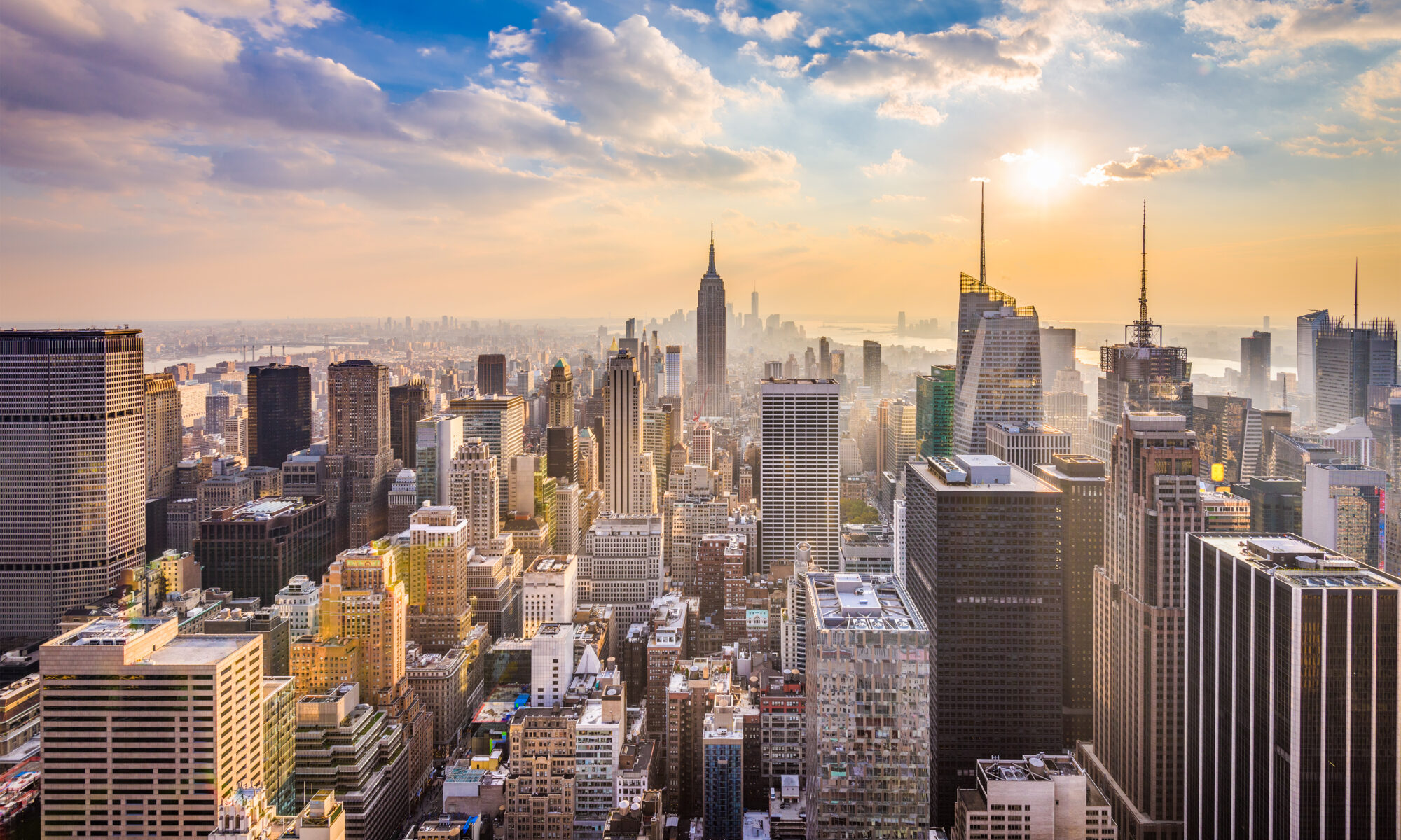 New York Dutch Translation Services