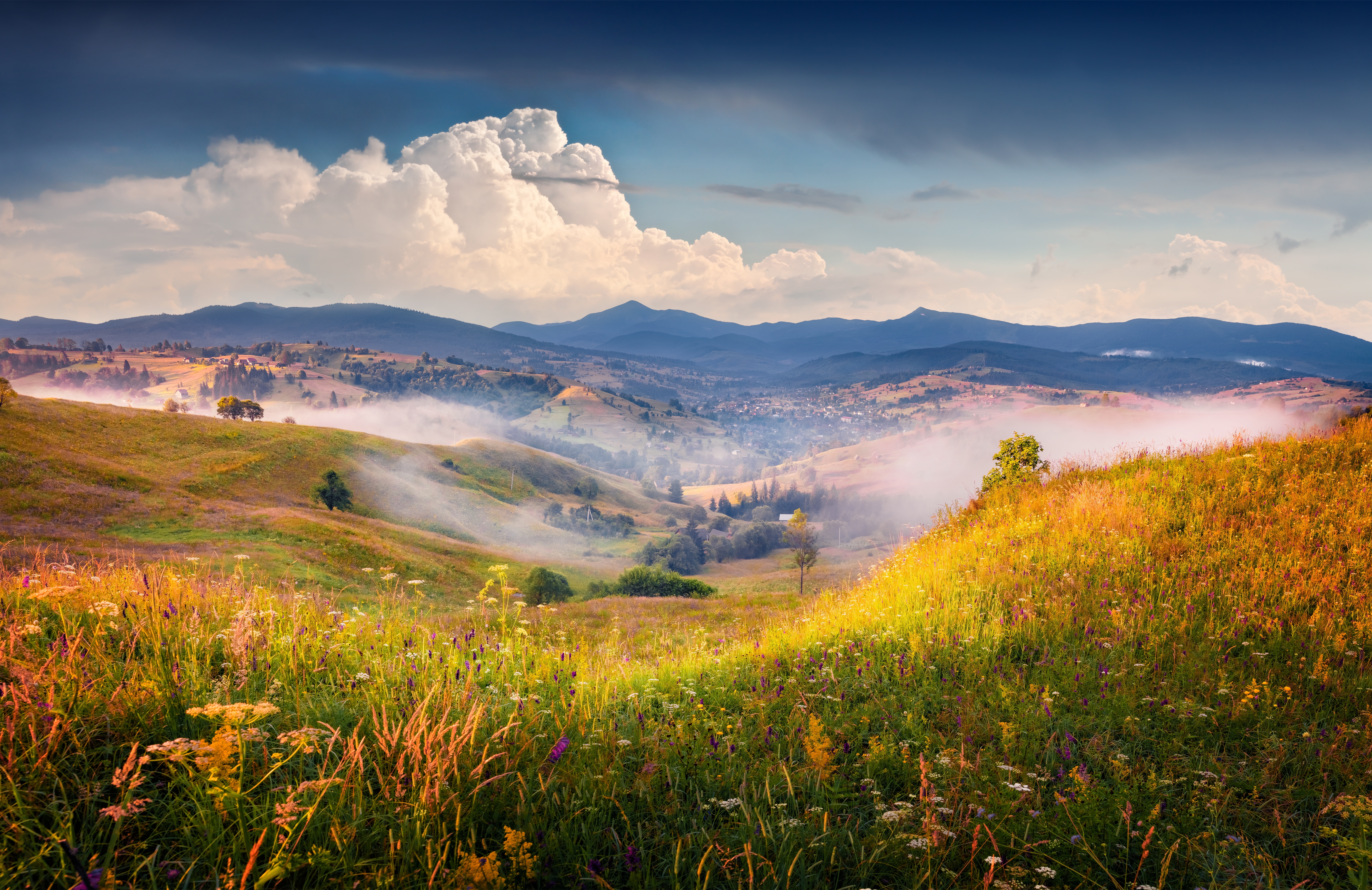 New York Best Ukrainian Translations