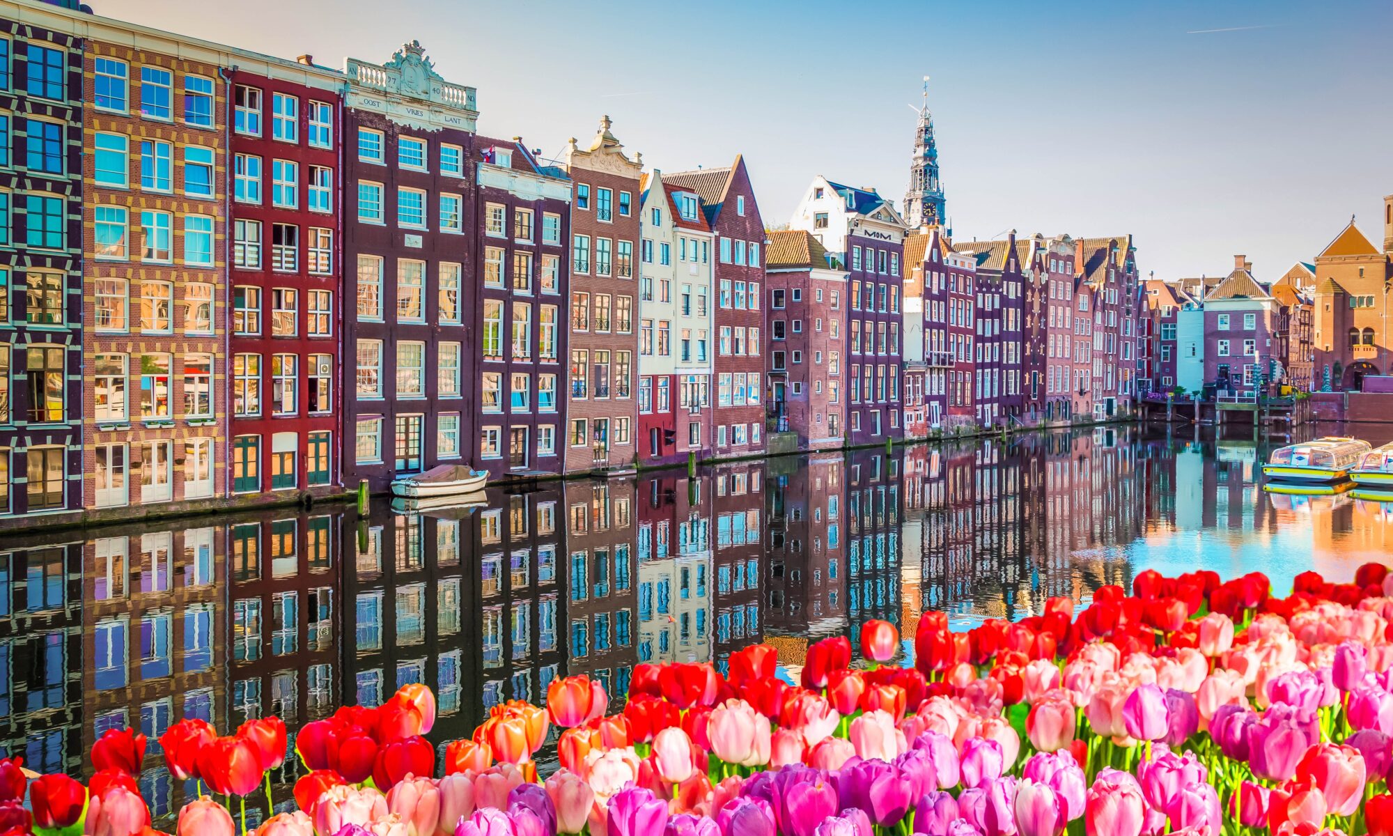 New York Best Dutch Translations