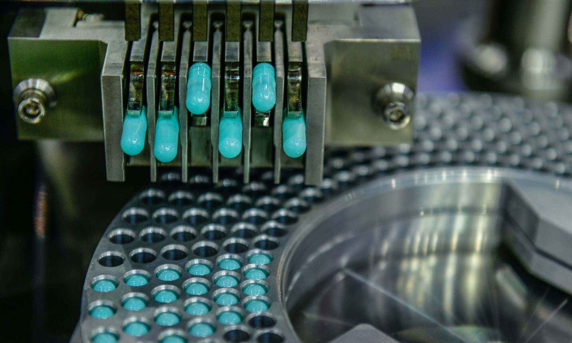 New York Portuguese Pharmaceutical Translations