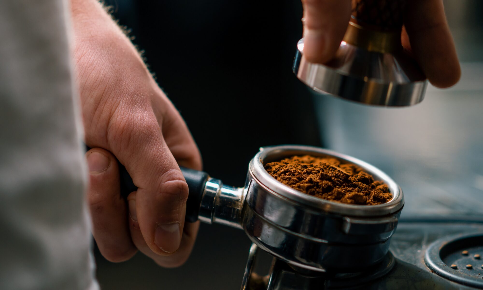 New York Professional Italian Translations