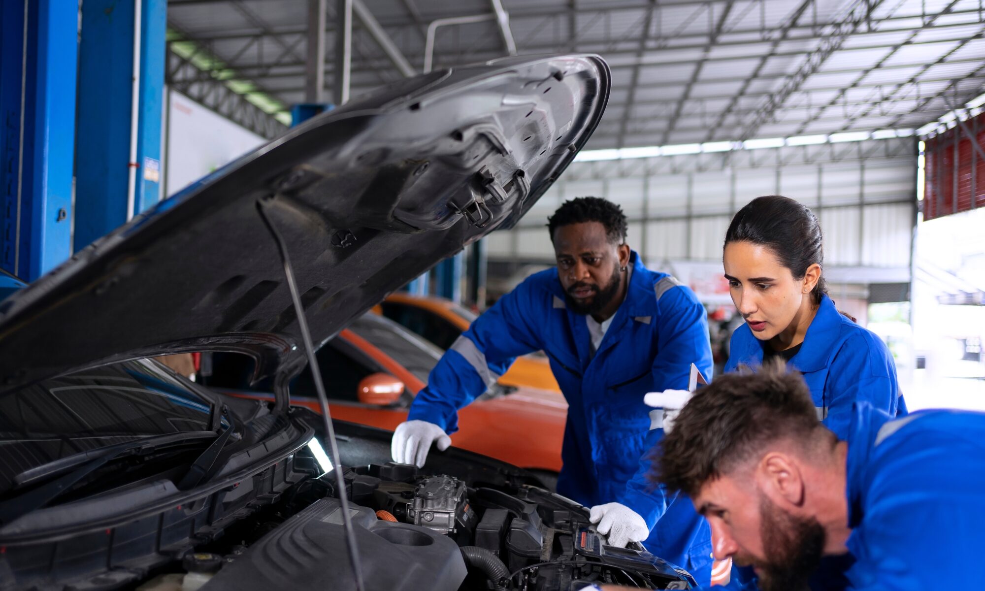 New York Technical Portuguese Translations