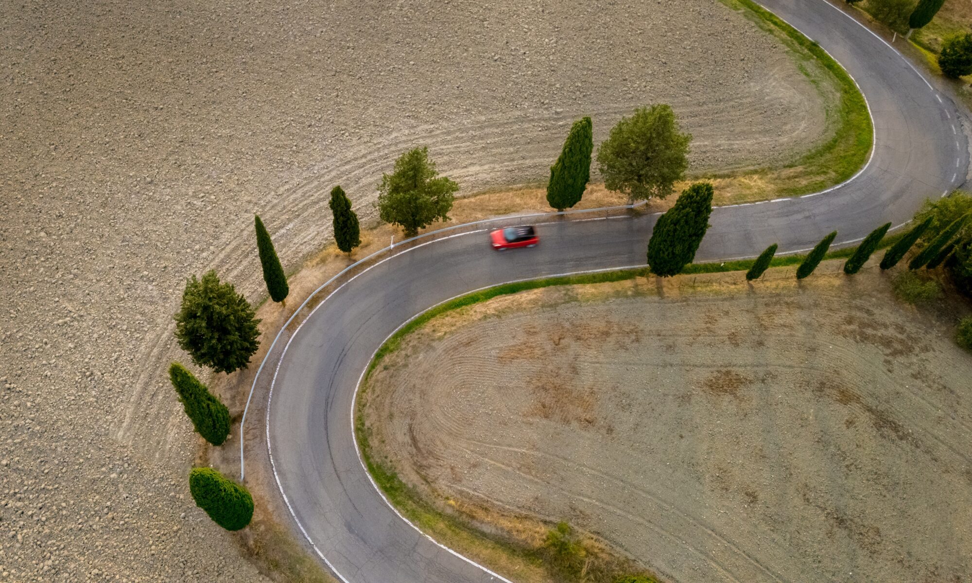 New York Technical Italian Translations