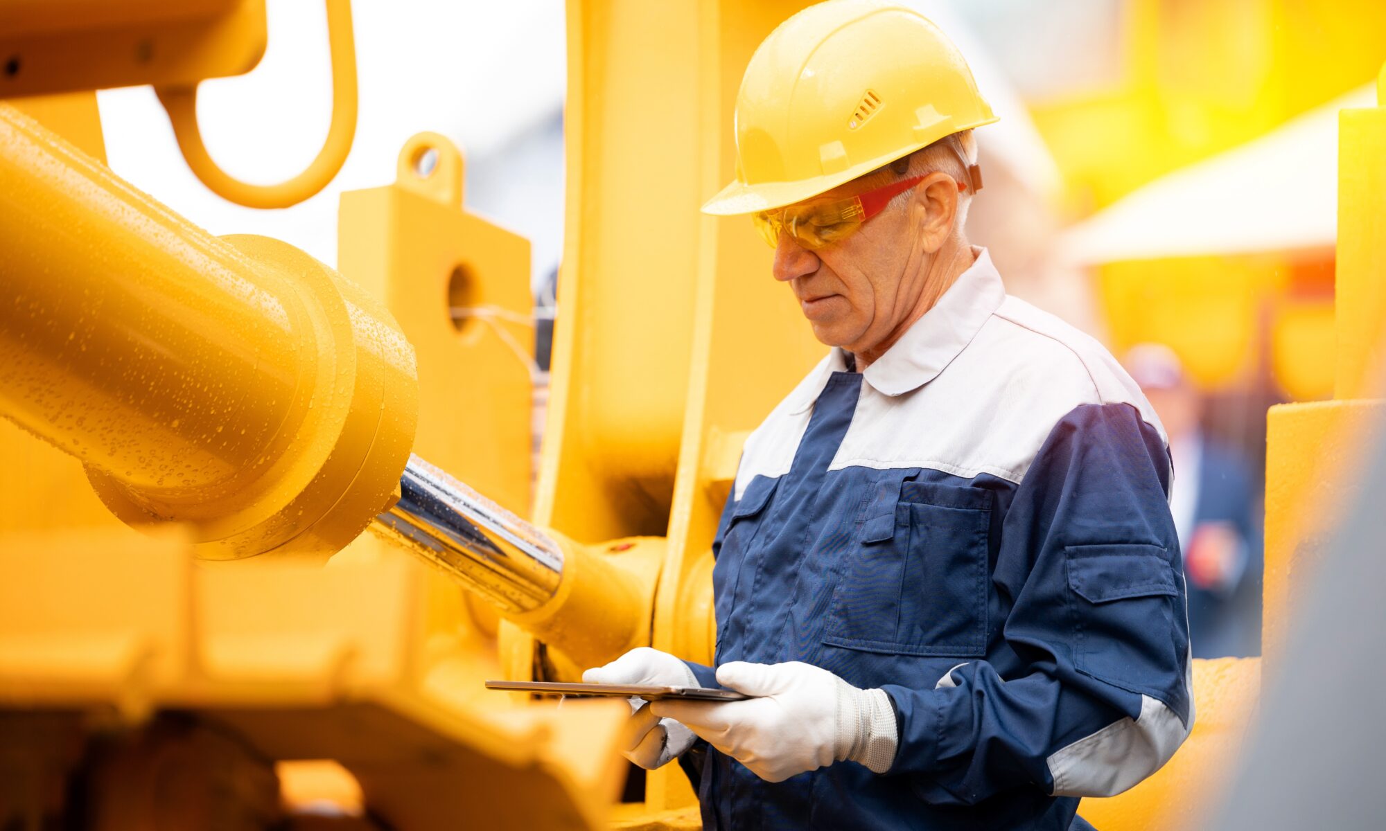 New York Technical Dutch Translations