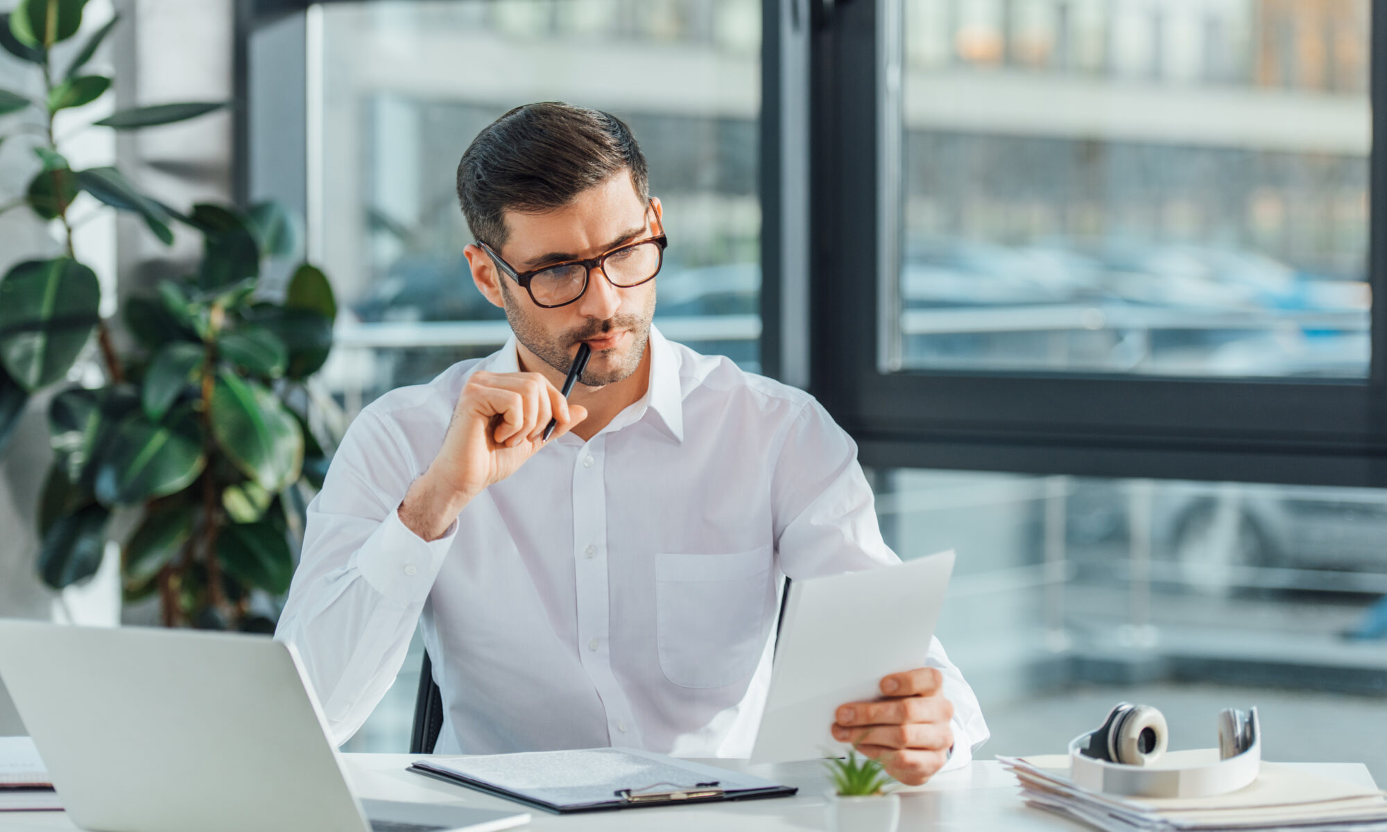 Dutch-English Translation for New York