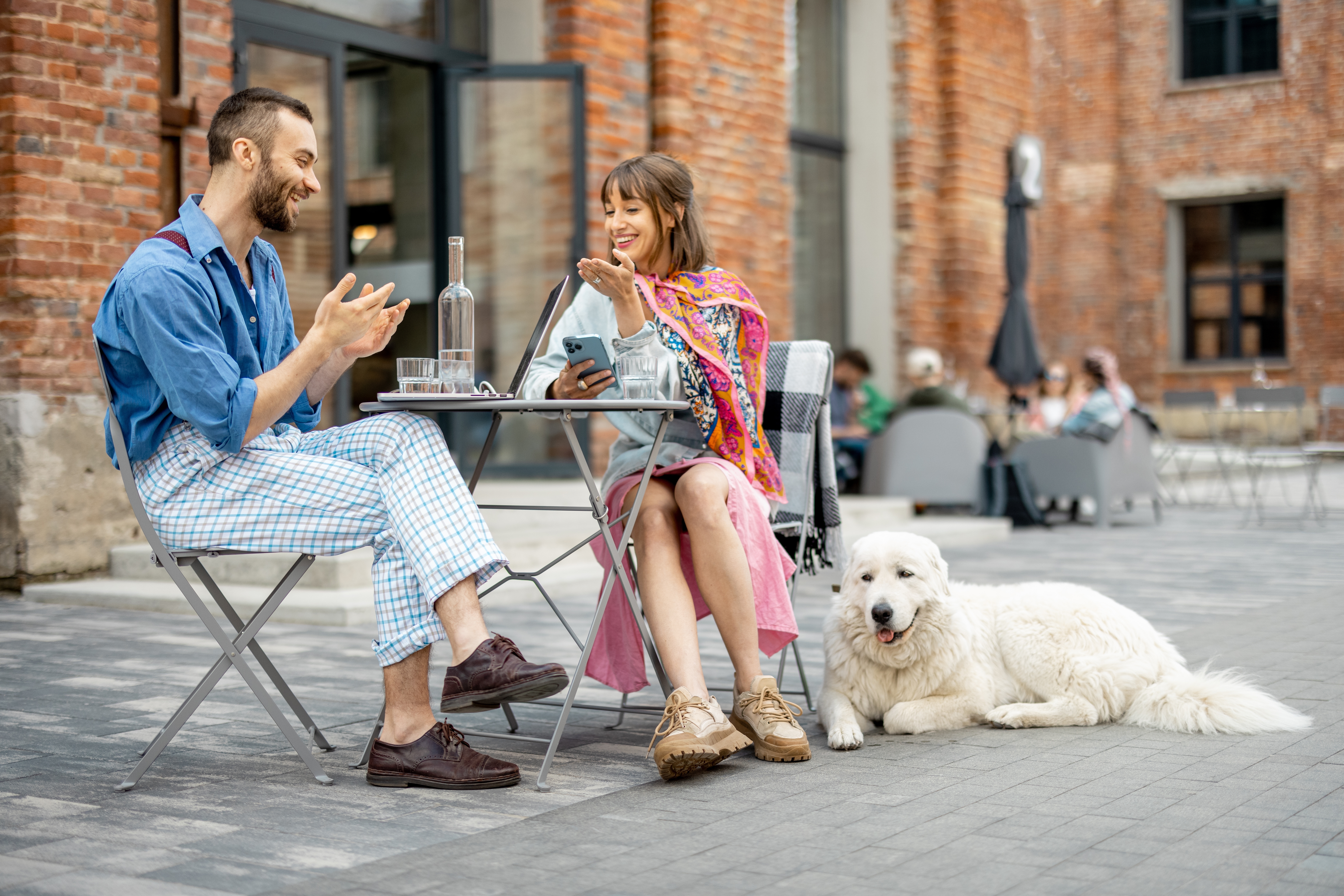 French-English Translation for New York