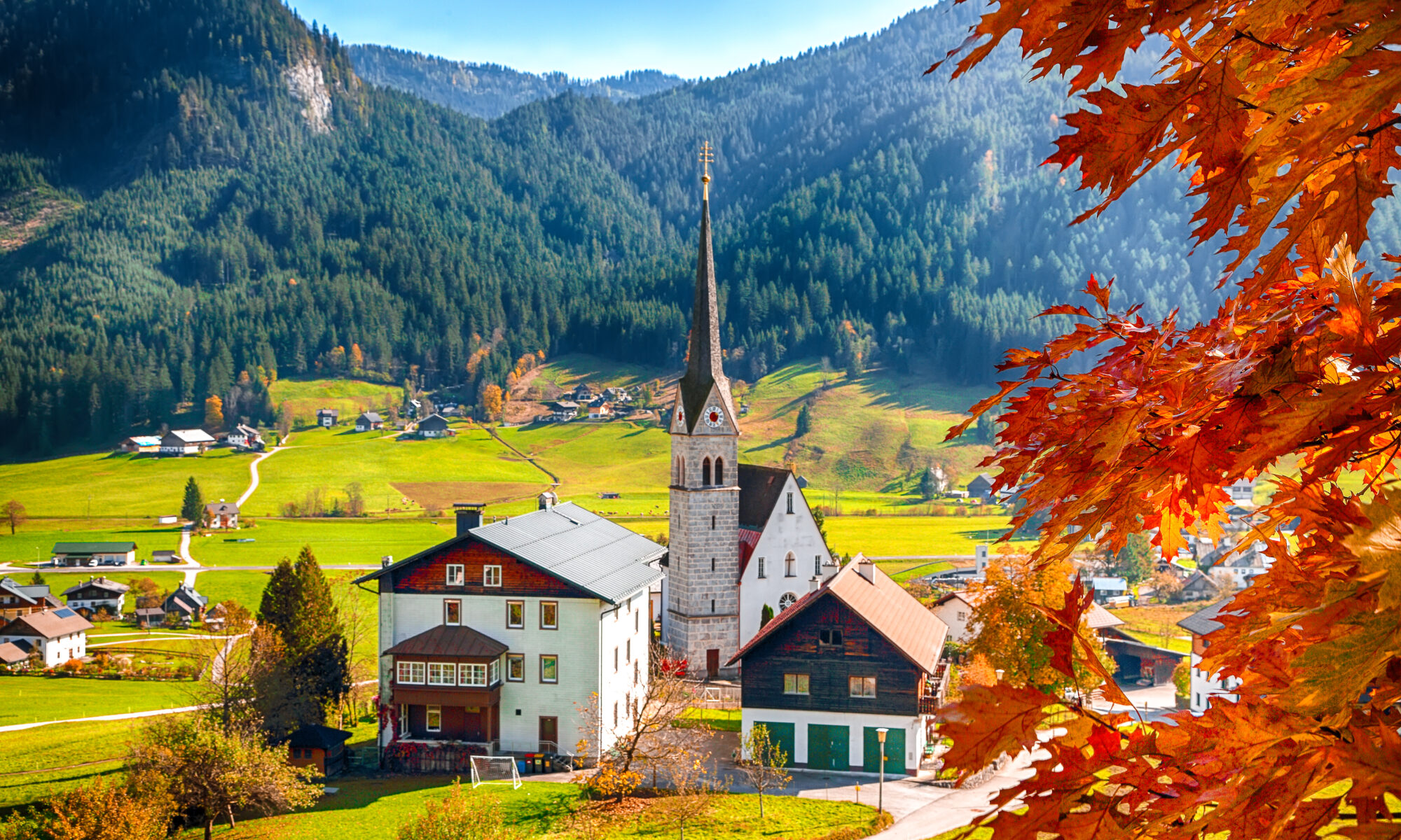 New York English-Slovak Translations