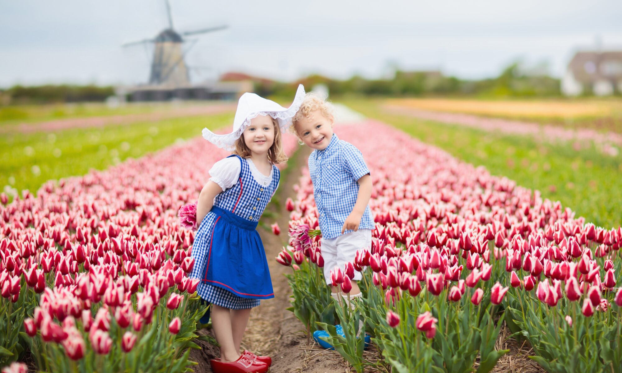 New York English-Dutch Translations