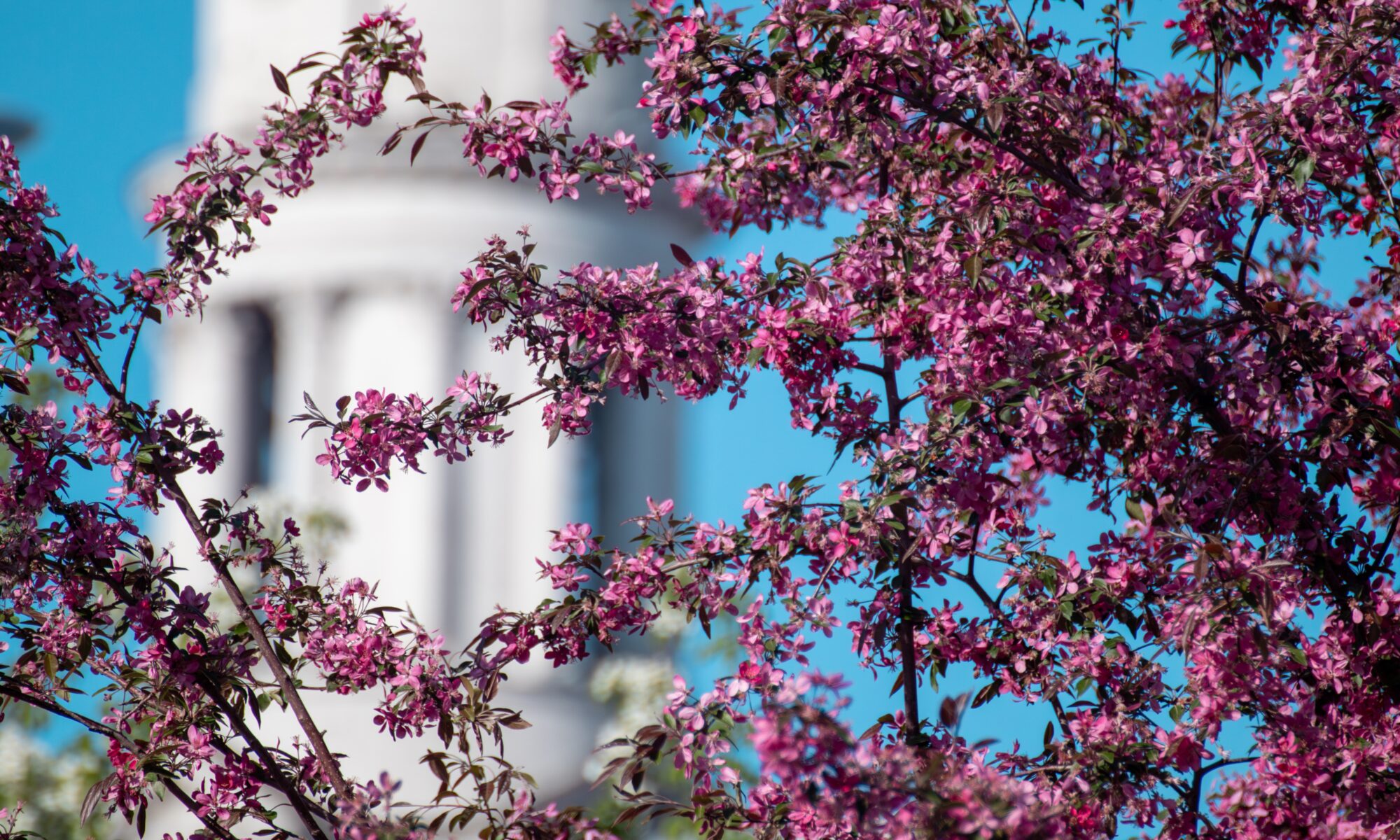 New York Ukrainian-English Translation