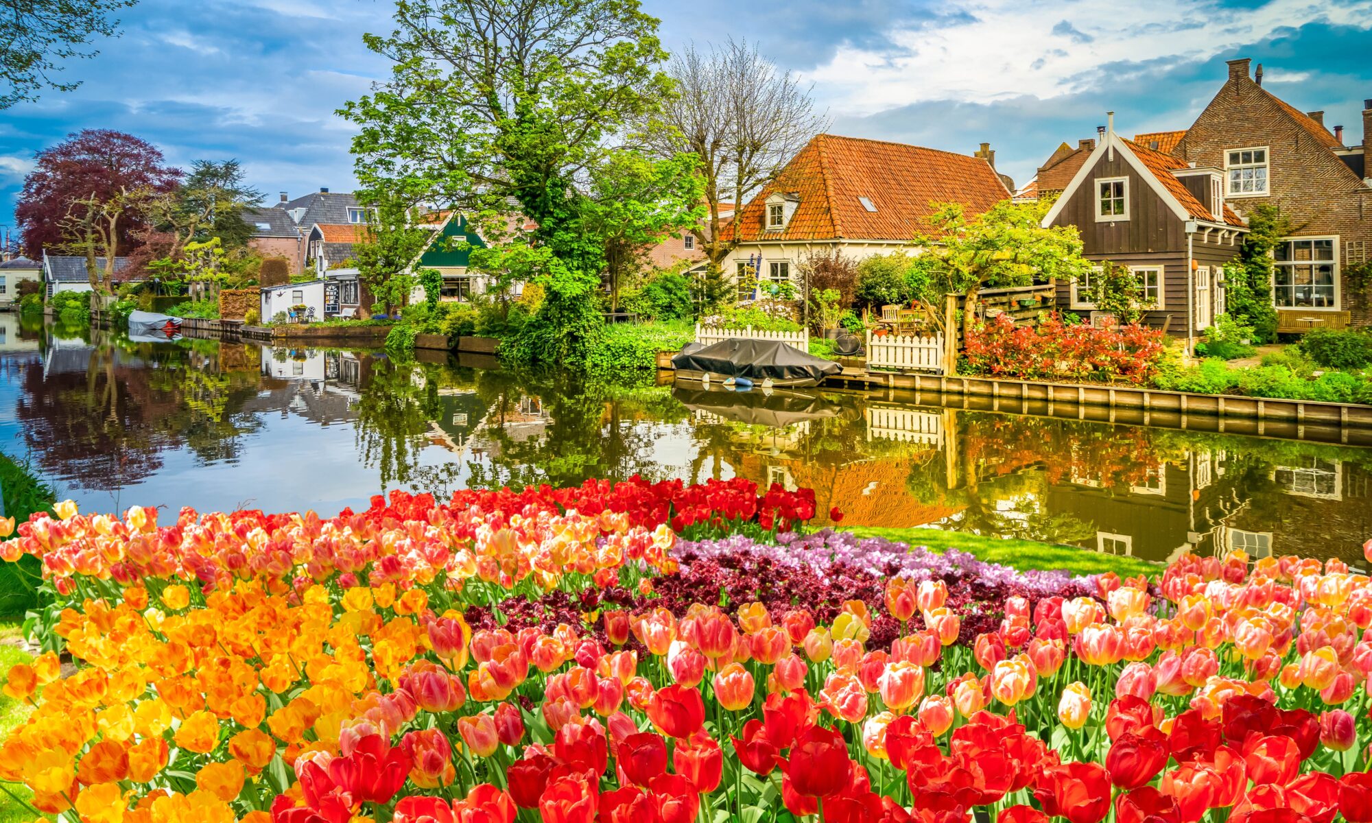 New York Dutch-English Translation